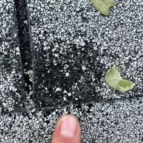 Roofing Insurance in Austin, TX & Nearby Areas