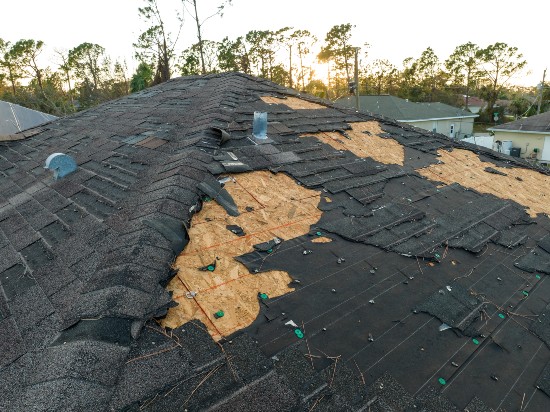 damage-repair Storm Damage Repairing Service in Austin, Texas